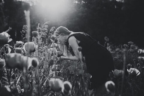 DSC4563 700x467(pp w480 h320) - _DSC4563