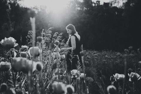 DSC4565 700x467(pp w480 h320) - _DSC4565