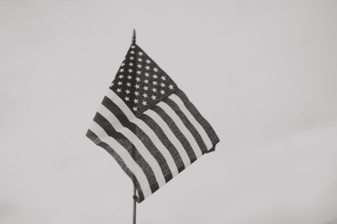 DSC3001 700x467(pp w480 h320) - _DSC3001