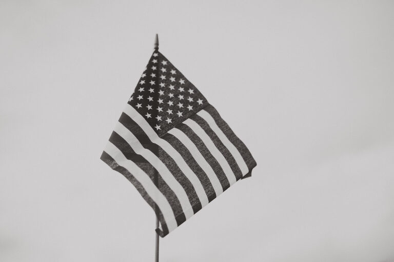 The American Flag in Black and White