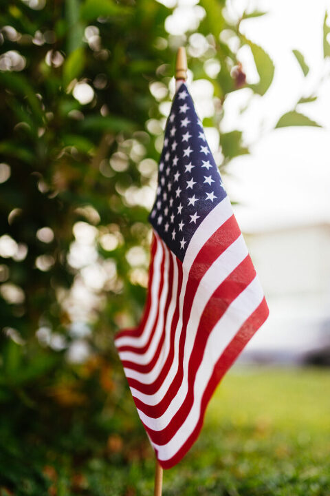 DSC3011 700x1050(pp w480 h720) - _DSC3011