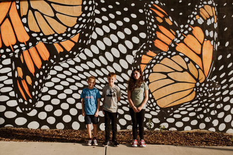 2020 PROJECT 52 27 52 009 700x467(pp w480 h320) - 2020 PROJECT 52- 27_52_009