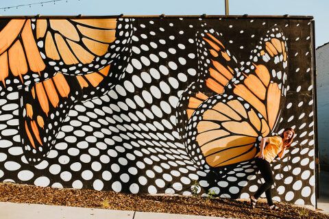 2020 PROJECT 52 27 52 016 700x467(pp w480 h320) - 2020 PROJECT 52- 27_52_016