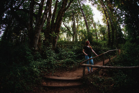 DSC6372 700x467(pp w480 h320) - _DSC6372