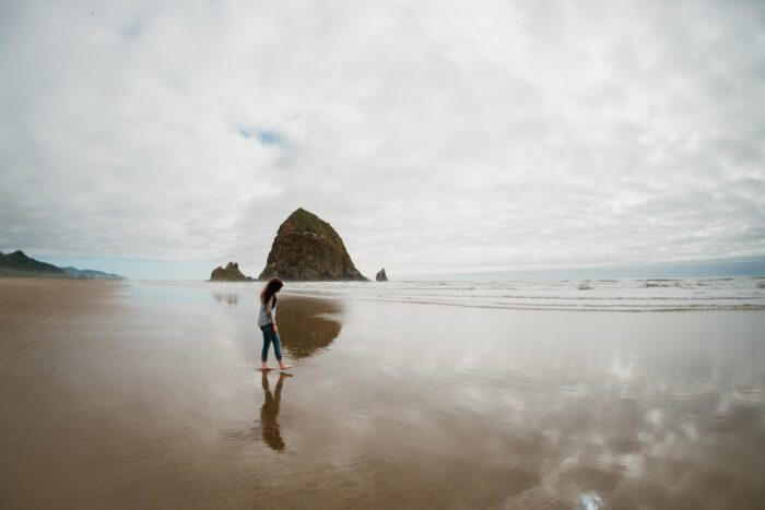 DSC7146 700x467 - _DSC7146