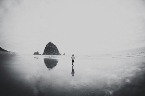 DSC7157 700x467(pp w480 h320) - _DSC7157