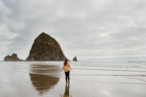 DSC7164 700x467(pp w480 h320) - _DSC7164