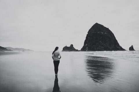 DSC7183 700x467(pp w480 h320) - _DSC7183