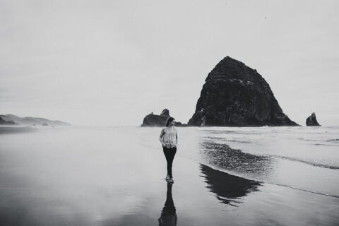 DSC7184 700x467(pp w480 h320) - _DSC7184