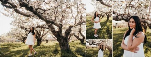 Senior Bella Manning Orchard Kaysville UT14 700x268(pp w480 h183) - Senior Bella :: Manning Orchard Kaysville UT14