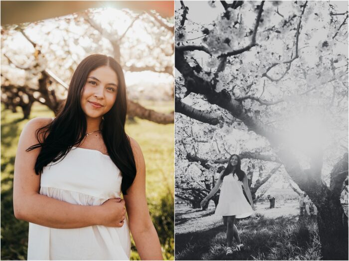 Senior Bella Manning Orchard Kaysville UT15 700x525 - Senior Bella :: Manning Orchard Kaysville UT15